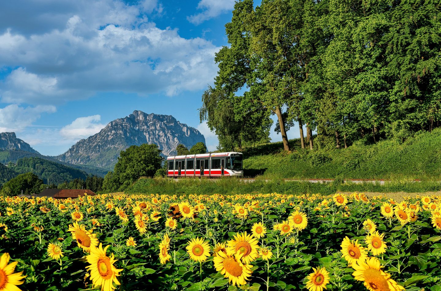 Traunseetram