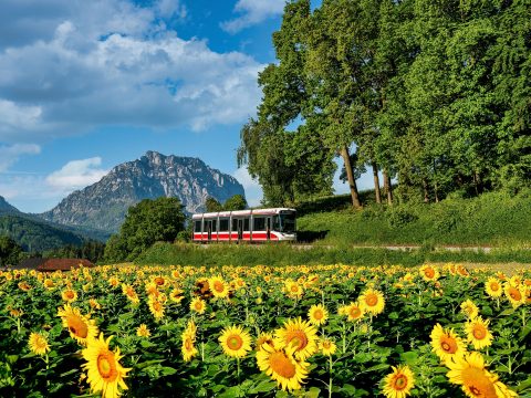 Traunseetram